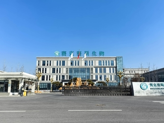 Shandong Saikesaisi Hydrogen Energy Co., Ltd خط إنتاج المصنع